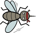 Kamikaze Mosquito